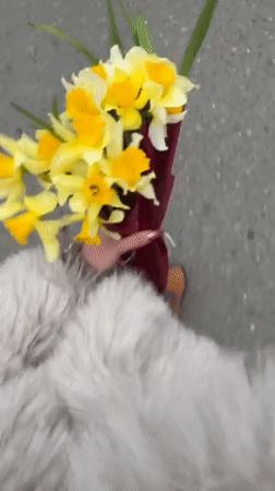 Woman documents fitness studio selfies, daffodils spotted on street