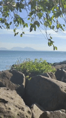 Visitor documents peaceful morning coastal scenes in Banda Aceh