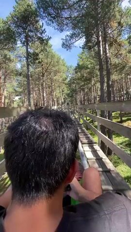 A person's back is visible in the foreground, facing away from the camera and looking down a roller coaster track that winds through a pine forest. The person is sitting in a green cart on the track. Sunlight filters through the tall trees, casting dappled shadows on the wooden track supports and the forest floor. The sky above is blue with scattered white clouds. The camera is positioned behind and slightly above the person, giving a first-person perspective of the ride. The roller coaster track appears to be made of metal rails on wooden supports. The overall environment is a natural forest setting.