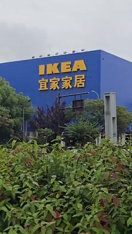 The media file shows a wide shot of an IKEA store on an overcast day. The large blue building with the iconic yellow IKEA logo is prominent, with Chinese characters below it. In the foreground, lush green bushes with some reddish leaves partially obscure the view. Trees surround the building, and traffic lights and street signs are visible. A sign with a bus icon and Chinese text is on the left. The overall scene suggests an outdoor view of a retail establishment in a somewhat urban or suburban setting in Linping District, China. There are no people or specific activities clearly depicted, and the weather appears to be cloudy.