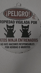 Barcelona resident documents personal items and daily surroundings