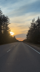 Sunset captured on pine-lined road near Kaduy, Russia