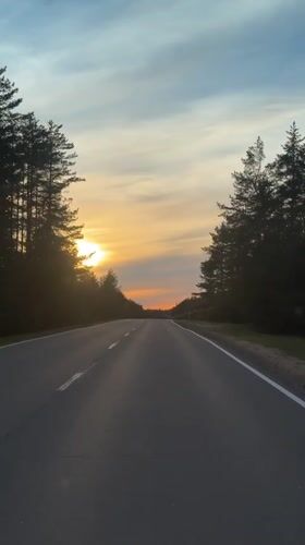 Sunset captured on pine-lined road near Kaduy, Russia