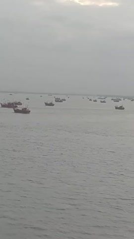 The video shows a wide shot of the ocean with many fishing boats. The sky is overcast, and the water is gray. The boats are of various sizes and colors, and they appear to be scattered across the water. Some of the boats are closer to the camera, while others are further away. There are no people visible in the video, and no actions are being performed by the boats other than floating on the water. The environment appears to be a large body of water, possibly the sea or a large lake, with land visible in the distance on the right side of the frame.