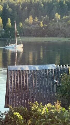 A sailboat with the word "INTI" on its hull moves across a body of water. The boat has a white hull and two masts. A person is visible standing on the boat. The water is calm with reflections of trees and the sky. In the foreground, the corrugated metal roof of a structure is visible, along with green foliage. A chimney pipe extends vertically from the roof. The background features a dense line of trees. The lighting suggests it is either early morning or late afternoon.