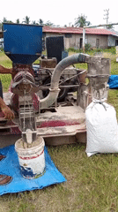 Rural Indonesian villages document rice milling, tropical flora morning scenes