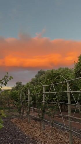 Rural South African farm life captured in evening documentation