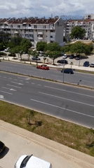 Urban life snapshots: traffic, pets, shopping, services documented