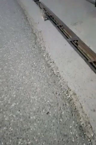A small, grey kitten walks along a concrete surface next to a metal grate. The ground is rough and appears to be outdoors, possibly near a road. The kitten is the only living creature visible and is moving from left to right across the frame.