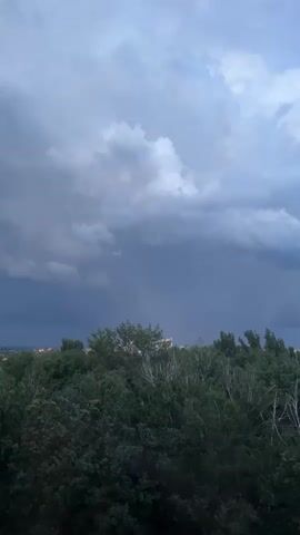 The video shows a view of a cloudy sky above a dense canopy of green trees. In the distance, the faint outlines of buildings are visible beyond the trees. There are no people or specific objects of note. The weather appears to be overcast, with dark clouds suggesting potential rain or a storm.