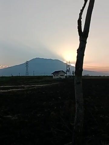 The video shows a landscape at sunset. The sun is setting behind a large mountain in the background, casting long shadows. In the foreground, there is a dark, plowed field. A small house with a white roof is visible in the middle ground, along with some power lines and a transmission tower. A bare tree trunk is in the right foreground, obscuring part of the scene. The sky is a pale blue and orange, with rays of sunlight fanning out from behind the mountain. The overall impression is one of rural tranquility.