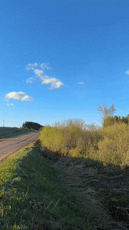 Rural road landscape documented in Batmany, Russia