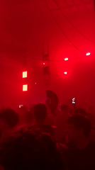 Crowd gathers in darkened venue with pulsating lights in Serbia