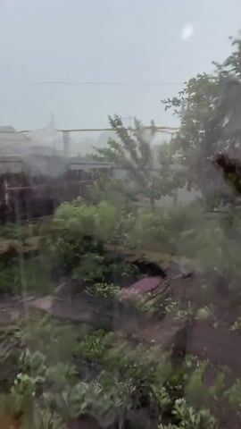 The video captures a view through a window during a rain shower. Raindrops are visible streaking down the glass, blurring the scene outside. The exterior shows lush green foliage, including bushes and trees, with what appears to be a tiered garden or landscape. In the background, a fence or barrier is visible, along with some indistinct structures. The overall impression is of a wet and windy day, with the weather obscuring finer details of the environment.