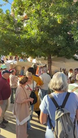 The video shows a crowded outdoor market scene on a sunny day. Numerous people of varying ages and appearances are milling about, browsing goods displayed on tables and racks under the shade of a large, leafy tree. Some individuals are examining items closely, while others are engaged in conversation or simply observing the surroundings. The background includes buildings and glimpses of the sky, adding depth to the scene. The overall atmosphere appears lively and bustling, indicative of a popular gathering place for shopping and socializing.