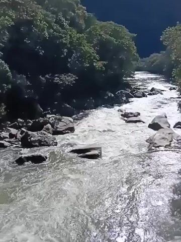 The video shows a fast-flowing river with rocky edges. The river is surrounded by lush green trees and bushes. In the background, a large mountain looms over the landscape. The camera pans up from the river to reveal the surrounding environment. The sky is clear and bright.