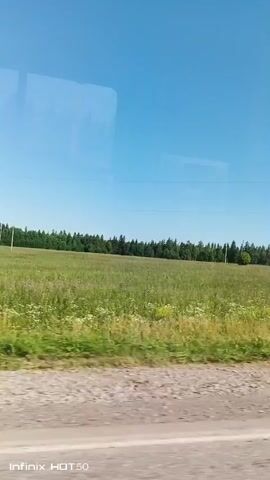 The video shows a view from inside a moving vehicle. The landscape consists of a vast green field with scattered wildflowers, bordered by a dense line of trees. A dirt road or path runs along the edge of the field in the foreground. The sky is a clear, bright blue. A power line tower is visible in the distance, along with power lines. The timestamp indicates the video was recorded on a mobile device, likely a phone.