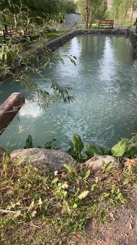 The video shows a view of a body of water with a pipe discharging into it. The water is a light blue-green color and appears to be murky. There is some vegetation along the edge of the water, including large green leaves and grass. Rocks are also visible along the bank. In the background, there is a wooden bench and some trees. The overall scene suggests an outdoor, possibly natural or semi-natural environment, with some man-made elements like the pipe and bench. The water discharge from the pipe creates ripples and turbulence in the water. The lighting suggests it is daytime, possibly overcast.