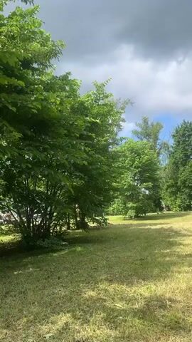 This media file captures a serene, tree-lined path in what appears to be a park or natural area. The scene is dominated by lush green foliage, with dense trees and bushes creating a shaded environment. Sunlight filters through the leaves, dappling the ground and the paved pathway. The path itself is a light gray, bordered by green grass. The overall atmosphere is peaceful and tranquil, suggesting a pleasant day for a walk.

The time of day appears to be daytime, likely late morning or afternoon, given the brightness of the sunlight. The weather seems fair, with hints of clouds in the sky visible in some frames, but no indication of rain or harsh weather. The location context provided is Boksitogorsk, Russia, which aligns with the appearance of a temperate climate with abundant greenery.

There are no people or identifiable objects within the immediate foreground of the path, emphasizing the natural beauty of the surroundings. The activity is simply the traversal of this peaceful path, suggesting a moment of calm or leisure. The lushness of the vegetation and the clear, well-maintained path suggest a public space designed for recreation and enjoyment of nature. The feeling evoked is one of tranquility and immersion in nature. There is no visible text in the media file.