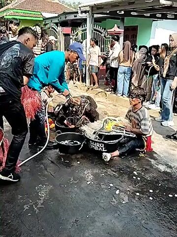 A group of people are gathered outdoors, possibly for a performance or cultural event. In the foreground, three young males are interacting with a large, elaborate costume, possibly a puppet or effigy of an animal, which is lying on the wet ground. One person in a blue shirt appears to be directing or assisting the others. Another person, wearing a striped shirt, is seated and holding onto a part of the costume. A third person, also in a striped shirt and hoodie, is standing and examining a section of the costume. The ground is wet and appears to have some white residue, possibly soap or foam. In the background, a crowd of onlookers, including men, women, and children, are standing and observing the scene. Some of the onlookers are dressed casually, while others wear more traditional or festive attire. Buildings and a fence are visible in the background. The overall atmosphere suggests a lively and interactive event.