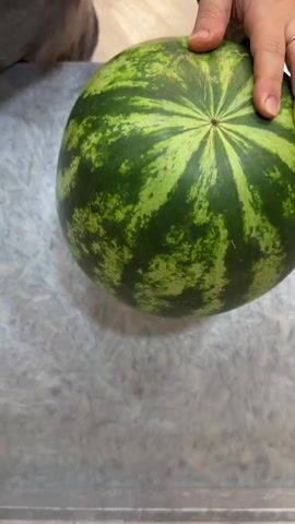 A close-up shot shows a person's hands preparing to cut a whole watermelon. The watermelon is round with dark green and light green stripes. The person's left hand holds the watermelon steady, while their right hand grips a knife and begins to make an incision on the top of the fruit. The background is a light-colored countertop.
