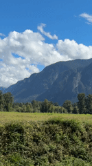 Green fields and open skies outside North Bend, Washington