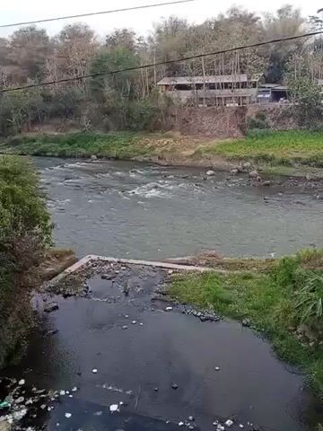A natural landscape video shows a river with a building and trees in the background. In the foreground, there is a section of dark, stagnant water with trash visible. The river flows from right to left, with rapids visible in the middle section. The banks of the river are covered in grass and trees. There are no people or animals visible in the video.
