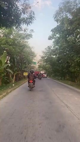The video shows a road with several motorcycles and a few cars. The road is paved and lined with trees on both sides. There are also some signs and a yellow warning sign on the left side of the road. The sky is overcast, and the light suggests it is either early morning or late afternoon. The motorcycles appear to be moving in the same direction, possibly in traffic. One motorcycle is in the foreground, with its taillight illuminated. There are people on the motorcycles, most of whom are wearing helmets. The overall impression is of a typical scene on a busy road in a populated area.