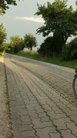 This is a video clip filmed from a low-angle perspective, looking down a paved road. The road is made of interlocking gray concrete pavers with grass growing in the gaps between them. The road is bordered on the left by a gravel shoulder and then by trees. On the right, there is a grassy verge and more trees. The road appears to be a quiet country lane, possibly in a rural area. The time of day appears to be late afternoon or early evening, as indicated by the soft, warm lighting and long shadows cast across the road. The sky is partly cloudy, with some blue sky visible. There is no visible text in the clip. The overall mood is peaceful and serene. The location context provided is Gartz (Oder), Germany, which suggests the setting is likely in a rural part of Germany near the Oder River. There are no people or distinct objects visible in the clip, only the natural landscape and the road itself. The activity taking place is simply the passage of time as indicated by the subtle camera movement, implying a slow, deliberate journey or observation of the scene.