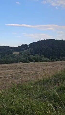The video pans across a rural landscape. In the foreground, tall grass and some yellow wildflowers are visible. Beyond that, a large field of mown hay stretches out, its dry, straw-colored stalks lying in rows. In the middle ground, a line of trees and bushes separates the hayfield from rolling hills covered in dense forest. The sky above is a clear, bright blue with a few wispy white clouds. The overall impression is of a peaceful, pastoral scene, likely captured on a sunny day during harvest season. There are no people or animals visible in the video.