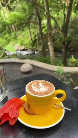 A close-up shot reveals a yellow teacup and saucer, adorned with a meticulously crafted coffee art design on top. A bright orange flower petal rests beside the cup, alongside a small teaspoon. To the left stands a small glass vase, filled with water and a few sprigs of leafy green plants. A stainless steel container filled with paper napkins completes the setup. The table, likely made of dark stone, reflects the surrounding light, adding a glossy sheen.

The camera gradually zooms out, revealing the scene's verdant backdrop: a lush tropical forest, with a clear stream trickling through the rocks. The environment evokes a sense of tranquility and natural beauty. A decorative fire pit, suspended by a metal tripod, adds a touch of sophistication to the outdoor space.

The video offers a glimpse of a serene outdoor cafe setting, where one can enjoy a cup of coffee amidst nature's embrace.