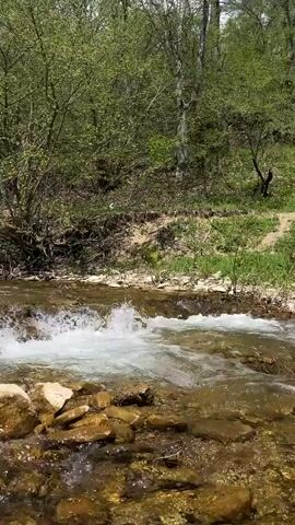 The scene captures a small creek flowing over rocks, with a forested area visible on the bank. The water appears clear, with small rapids forming as it flows over the rocks. Green foliage covers most of the trees in the background, though some are still bare. The sky is partly cloudy. Someone speaks and laughs in the background.