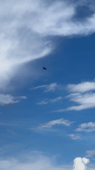 Krasnodar residents document biplane, damaged cars, everyday urban scenes