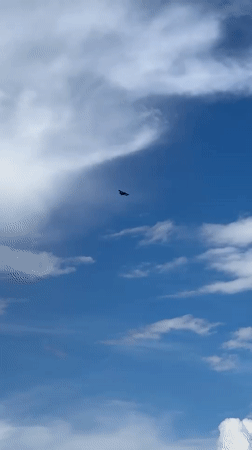 Krasnodar residents document biplane, damaged cars, everyday urban scenes