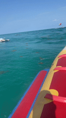 Tourists enjoy banana boat ride in Playa del Carmen waters