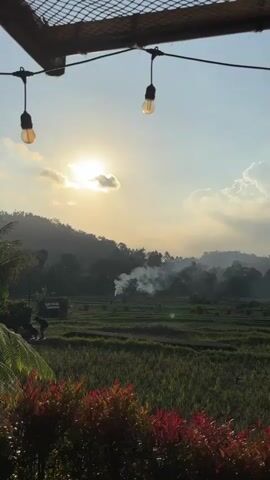 The video shows a scenic view of rice terraces at sunset. The sun is setting behind a hill, casting a warm glow over the landscape. There is a wispy cloud in the sky and smoke rising from a small fire in the distance. Two lights are hanging from a wire overhead, and a portion of a patterned roof is visible at the top of the frame. In the foreground, there are bushes with red and green leaves. The camera pans slightly to the right, revealing more of the rice paddies and distant trees.
