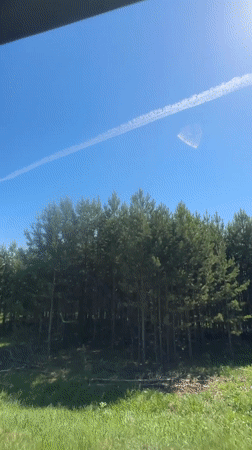 Vehicle passenger observes Russian forest landscape under clear skies