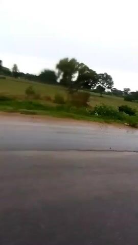 The video captures a view of a paved road with patches of wetness and some potholes. Beyond the road, there is a sloping grassy field dotted with trees. The sky appears overcast. There are no people or vehicles prominently visible in the frame. The perspective suggests the video might have been recorded from a moving vehicle.