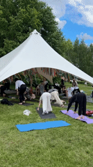 Outdoor yoga and dancing gathering draws crowd to park