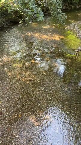 The video shows a clear stream flowing over a rocky bed. Sunlight filters through the trees, dappling the water's surface. The surrounding environment is lush and green, with trees and foliage lining the banks of the stream. The camera appears to be held by someone walking along the bank, with the stream flowing from the bottom of the frame upwards towards the trees.