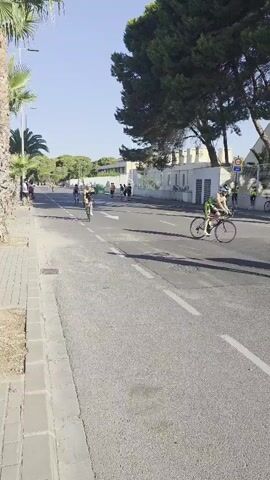 A vertical video captures a cycling race on a paved road under a clear blue sky. Palm trees line the left side of the road, casting shadows on the sidewalk. The road has white dashed lines indicating lanes. Several cyclists in racing gear are visible, some in the foreground and others further down the road. Spectators can be seen standing on the sidewalk. A white building with arched windows is visible on the right side of the road, surrounded by trees. The video is shot from a slightly elevated, stationary perspective looking down the road.