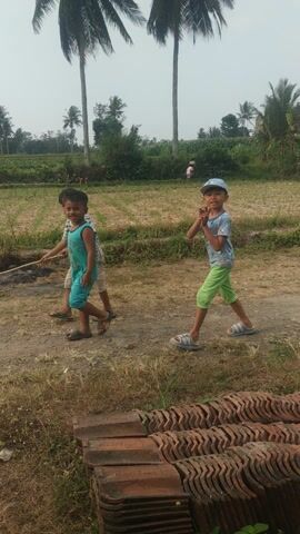 The video shows three young boys standing in a dry, grassy field. The boys are of various ages and dressed in casual clothing. They are standing on a dirt path. In the background, there are coconut trees and a cloudy sky. The video is shot vertically and appears to be taken outdoors during the day.