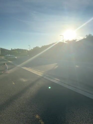 Evening scenes capture child scootering, black cat in Gatineau