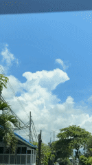 Fish-shaped cloud spotted during car journey in Seririt, Indonesia