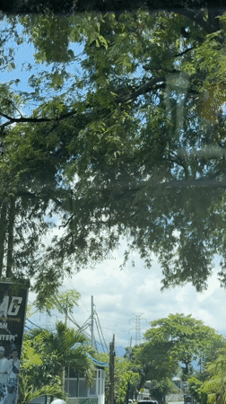 Fish-shaped cloud spotted during car journey in Seririt, Indonesia