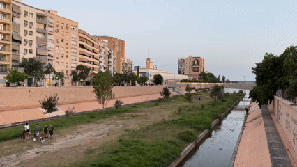 Dog walking along Málaga's dry riverbed on a clear afternoon