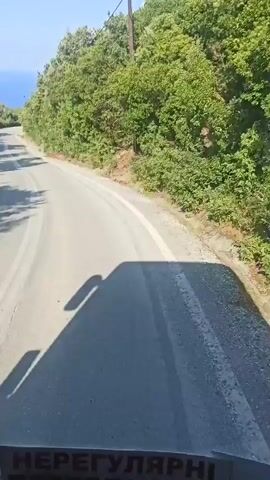 A paved road winds through a wooded area with the ocean visible in the distance. The camera is mounted on a vehicle, likely a bus, and the shadow of the vehicle can be seen on the road. The sky is clear and blue.