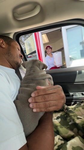 Man holds gray puppy at Los Angeles drive-through