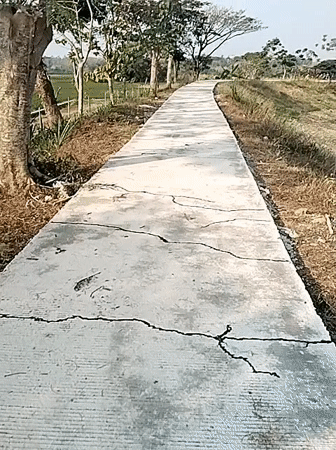 Morning activity along a rural path and pond in Sambirejo
