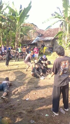 Here is a concise description of the video:

The video shows a group of people gathered in a muddy outdoor area, potentially for a cultural performance or event. Several people are dressed in black clothing and appear to be performing some kind of martial arts or dance routine. One man is lifted and thrown in the air. Other people are watching the performance from the sidelines. The environment includes trees, plants (including a banana tree), and a building in the background. The camera angle is slightly tilted and the lighting is bright, indicating it is likely daytime.